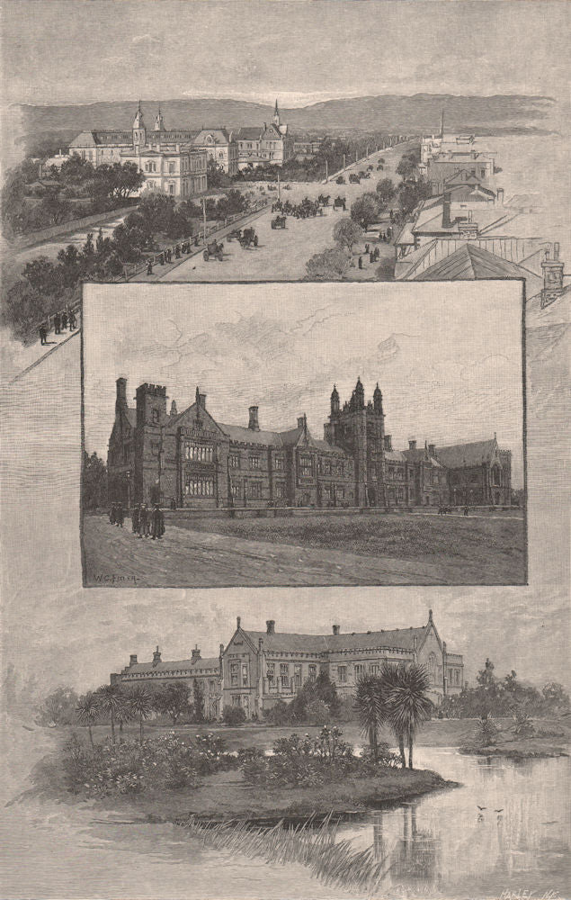 Universities of Adelaide, Sydney, and Melbourne. Australia 1888 old print